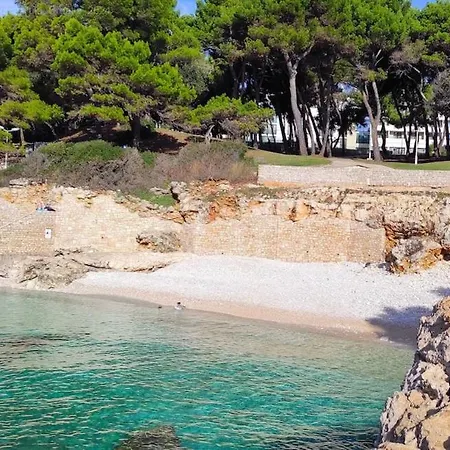 公寓 Fantasy & Magica